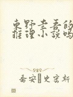 东野圭吾的书是推理小说吗