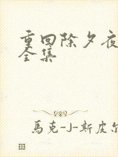 重回除夕夜免费全集