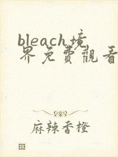 bleach境界免费观看全集完整版