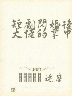 短剧闪婚后成了大佬的掌中之物