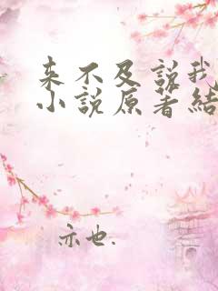 来不及说我爱你小说原著结局