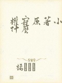 权宠原著小说叫什么