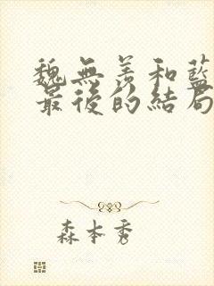 魏无羡和蓝忘机最后的结局