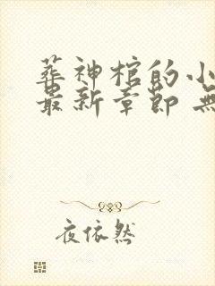 葬神棺的小说 最新章节 无弹窗