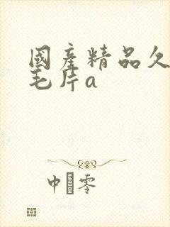 国产精品久久久毛片a