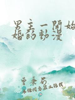 男主一开始就结婚的动漫