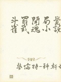 斗罗开局觉醒朱雀武魂小说