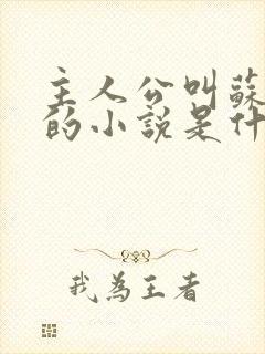 主人公叫苏软软的小说是什么名字