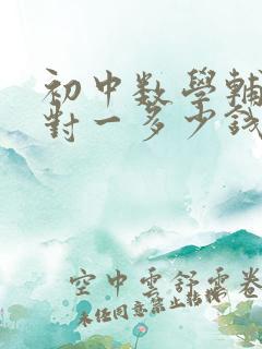 初中数学辅导一对一多少钱