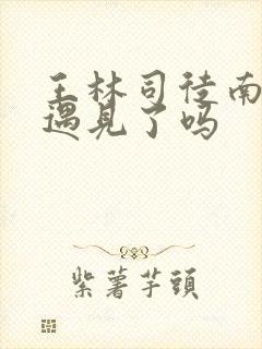 王林司徒南后来遇见了吗