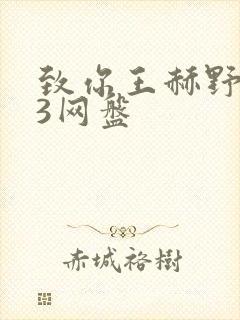 致你王赫野mp3网盘