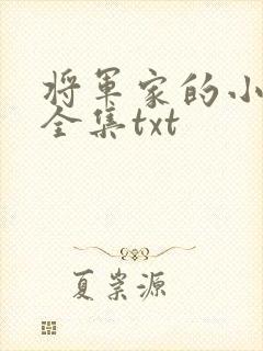 将军家的小娘子全集txt