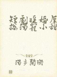 短剧暖婚厚爱纪总独宠小甜妻在线观看