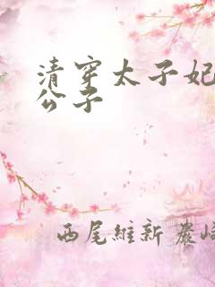 清穿太子妃 罗公子