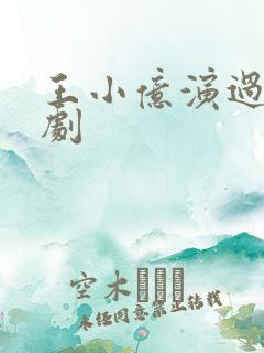 王小亿演过哪些剧