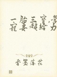 一胎三宝,爹地宠妻超给力亦小钱