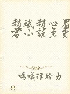 赵斌赵心眉高婉君小说免费阅读