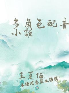 多角色配音有声小说