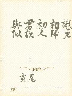 与君初相识·恰似故人归免费