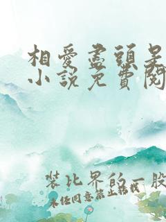 相爱尽头是相忘小说免费阅读