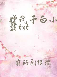 赠我予白小说网盘txt