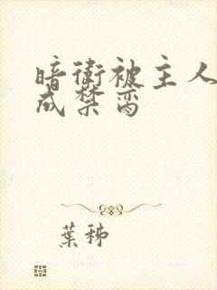 暗卫被主人调教成禁脔