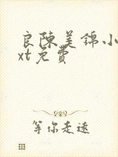 良陈美锦小说txt免费