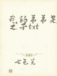 我的弟弟是天选之子txt