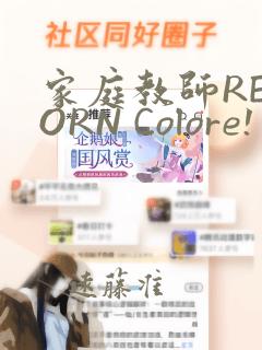 家庭教师REBORN Colore! 画集：结局+番外