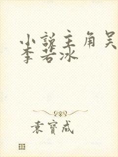 小说主角吴辰和李若冰