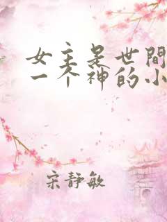 女主是世间最后一个神的小说