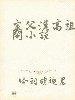 家父汉高祖笔趣阁小说