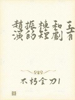 赵振栋和王格格演的短剧有哪些