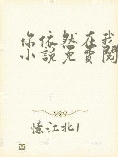 你依然在我梦里小说免费阅读