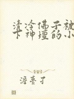 清冷佛子被我拉下神坛的小说免费阅读