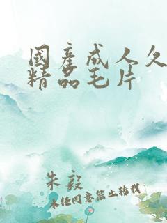 国产成人久久久精品毛片