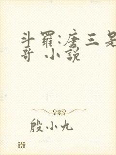 斗罗:唐三是我哥 小说