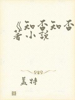 《知否知否》原著小说