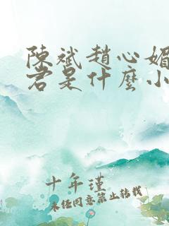 陈斌赵心媚高婉君是什么小说