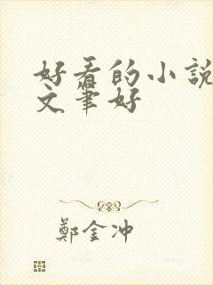 好看的小说言情文笔好