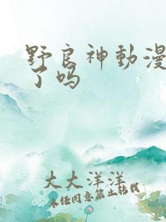 野良神动漫完结了吗