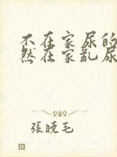 不在家尿的狗突然在家乱尿