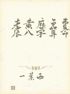 老黄历免费算生辰八字算命