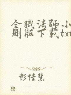 全职法师小说未删版下载txt