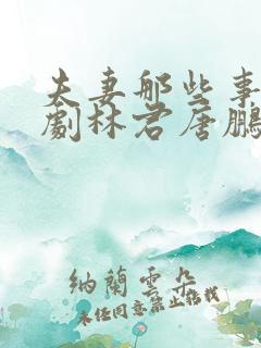 夫妻那些事电视剧林君唐鹏