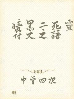 暗黑二死灵法师符文之语