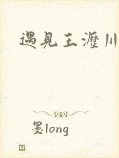 遇见王沥川歌曲