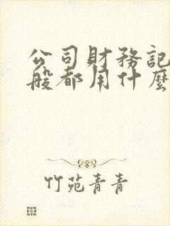 公司财务记账一般都用什么软件