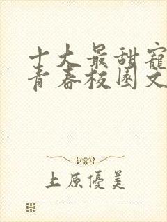 十大最甜宠小说青春校园文