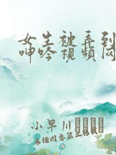 女生被弄到高潮呻吟视频网站